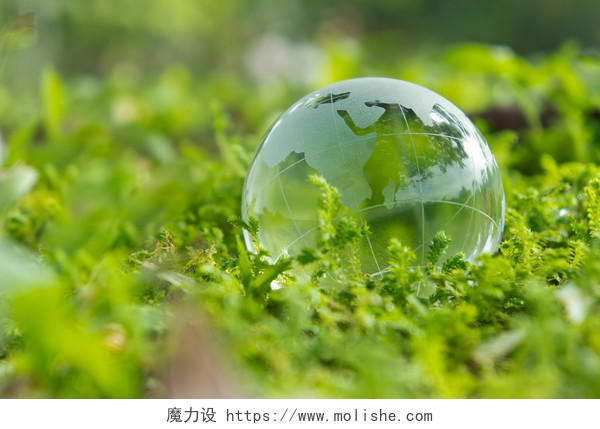 创意草地上一滴水图片绿色植物